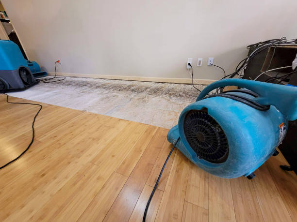 Professional Water Removal technician working in East Machias, ME